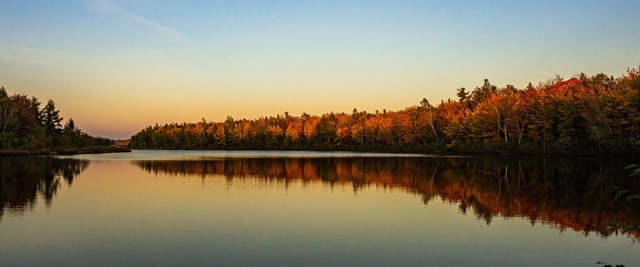 صورة من Irishtown Nature Park: غابة أكادية ومسارات حول البحيرة، ١ من ٢