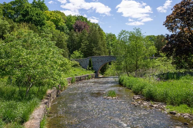 صورة من Webster Falls: شلال وجسر حجري في Spencer Gorge، ٣ من ٧