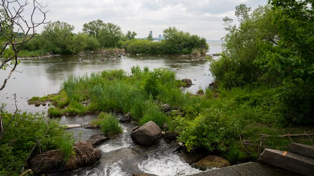 صورة من Parc des Rapides: مراقبة الطيور ومناظر النهر، ٢ من ١٥