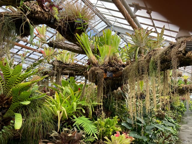 صورة من Jardin botanique: حدائق وبيوت زجاجية على ٧٥ هكتاراً، ٤ من ٢٠