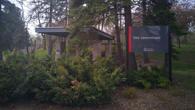 صورة من Caverne de Saint-Léonard: جولة مرشدة في كهف تحت Parc Pie-XII، ٣ من ٨
