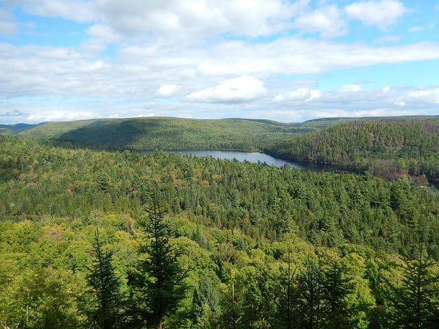 صورة من La Mauricie: بحيرات ومسارات مشي بين الغابات، ٦ من ١٥