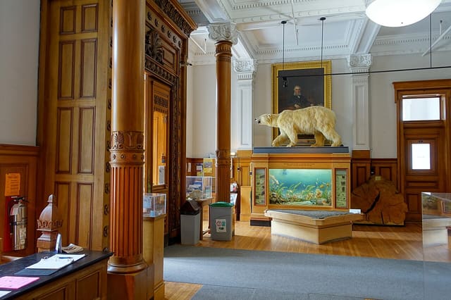 صورة من Musée Redpath: التاريخ الطبيعي في حرم McGill، ٦ من ١٥