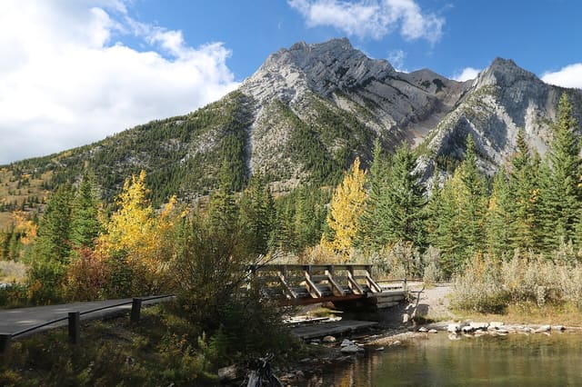صورة من Mount Lorette Ponds: مشي حول البرك وانعكاسات الجبل، ٦ من ١٩