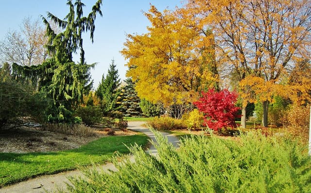 صورة من Centre de la Nature: مسارات مشي وحدائق ومناطق لعب، ٣ من ١٥