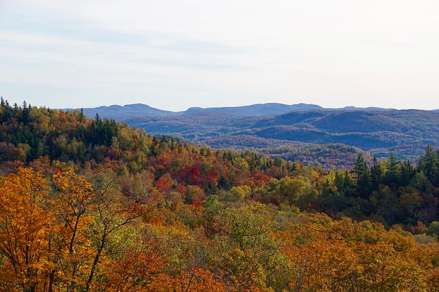 صورة من Mont-Tremblant: قرية المشاة والتلفريك إلى القمة، ٨ من ٢٢