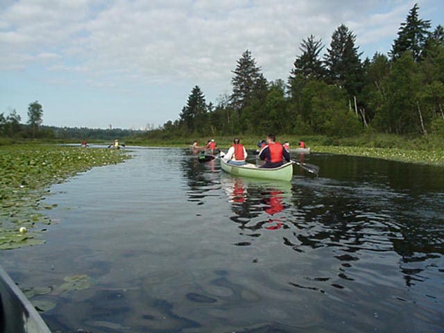 صورة من Burnaby Lake Regional Park: ممرات رطبة ومراقبة الطيور، ١ من ١