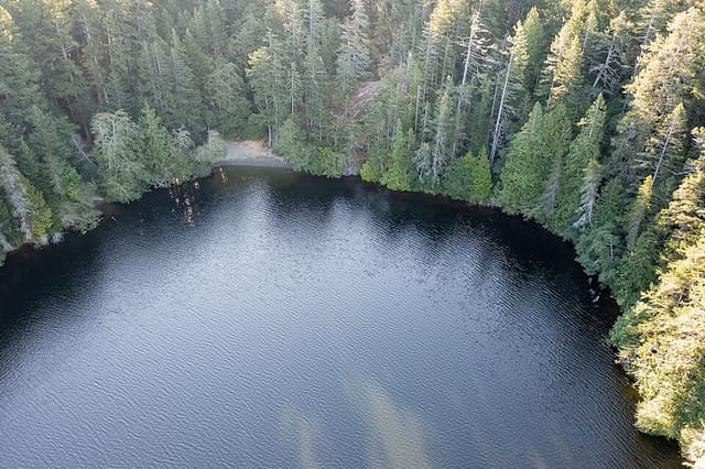 صورة من Matheson Lake: بحيرة ومسار غابي دائري، ٥ من ١١