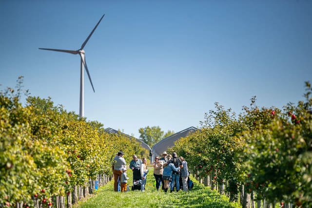 صورة من Domaine Labranche: قطف التفاح ونزهة ريفية، ١ من ١٠