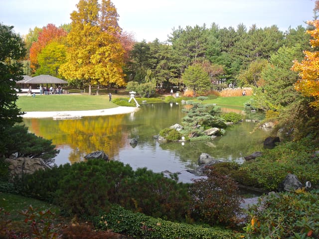 صورة من Jardin botanique: حدائق وبيوت زجاجية على ٧٥ هكتاراً، ٣ من ٢٠