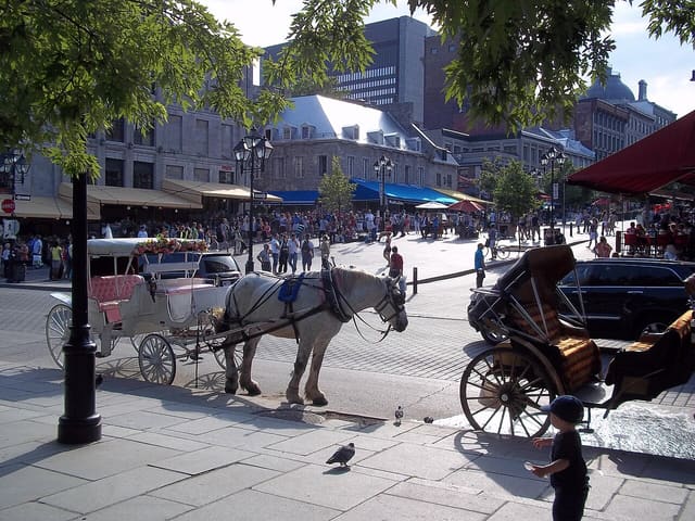 صورة من Place Jacques-Cartier: استراحة في مونتريال القديمة، ٥ من ١٧