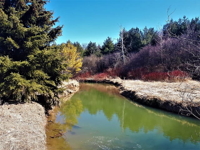 صورة من Fairy Lake Park: مشي حول البحيرة وجسورها، ٥ من ٦