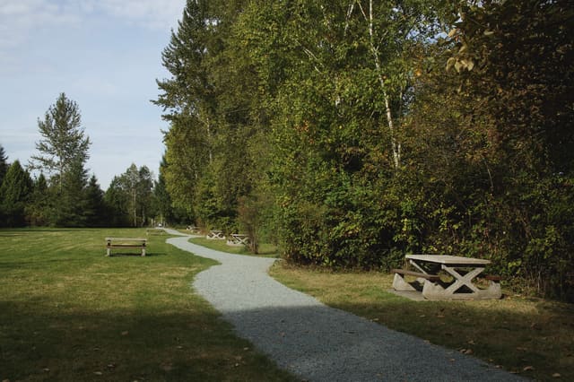 صورة من Derby Reach Regional Park: نهر وغابة وآثار مزرعة قديمة، ١ من ١
