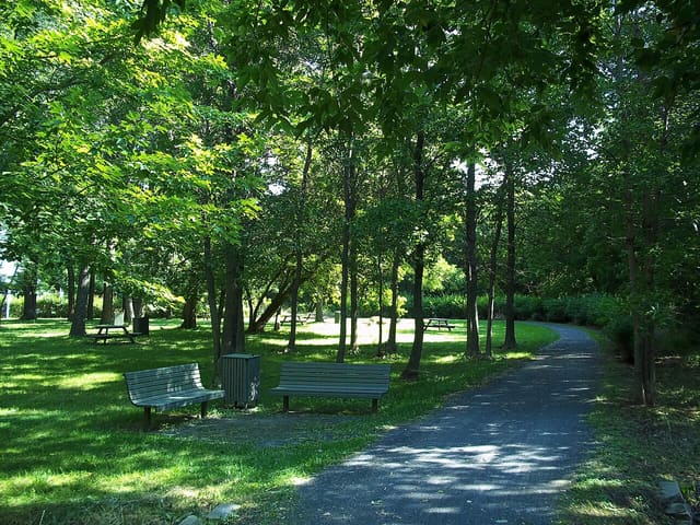 صورة من Pointe-aux-Prairies: غابات وأراضٍ رطبة، ٧ من ١٥