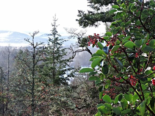 صورة من Horth Hill: تل ومسارات بإطلالة على الجزر، ٢ من ٣