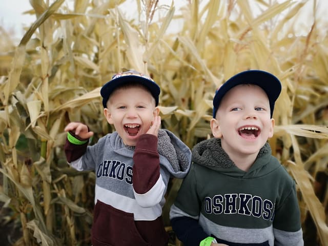 صورة من Youth Farm Corn Maze: متاهة ذرة وألعاب مزرعة، ١ من ١