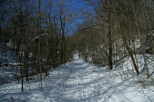 صورة من Doris McCarthy Trail: نزول عبر الوادي نحو البحيرة، ٢ من ٤