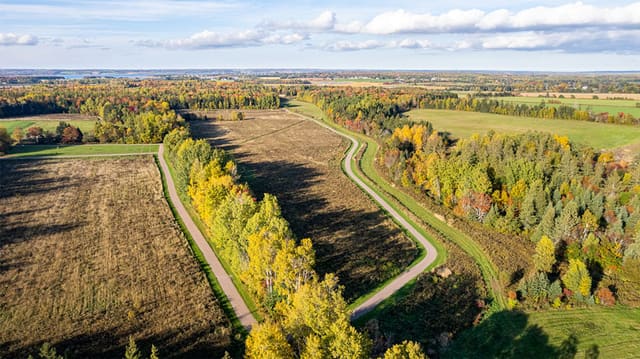 صورة من Fullerton’s Creek Conservation Park: مسارات وإطلالة على المستنقع، ١ من ٣