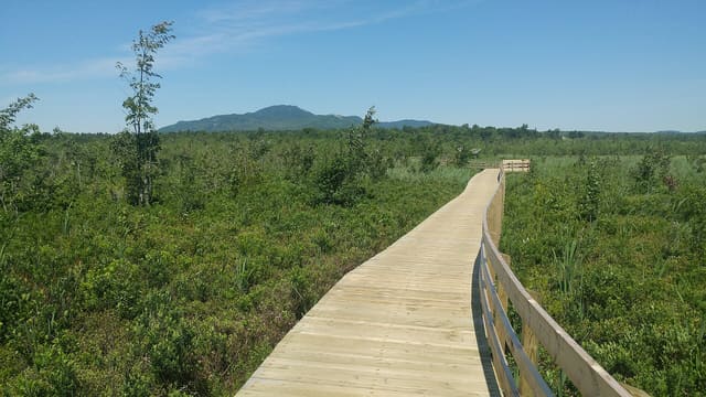 صورة من Marais de la Rivière-aux-Cerises: ممرات فوق المستنقع، ١ من ١٩
