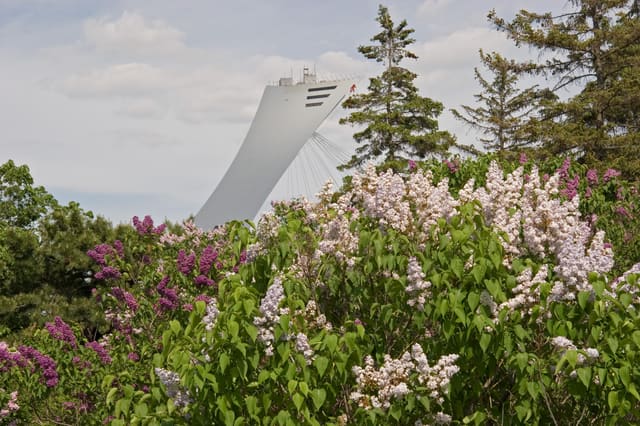 صورة من Jardin botanique: حدائق وبيوت زجاجية على ٧٥ هكتاراً، ٧ من ٢٠