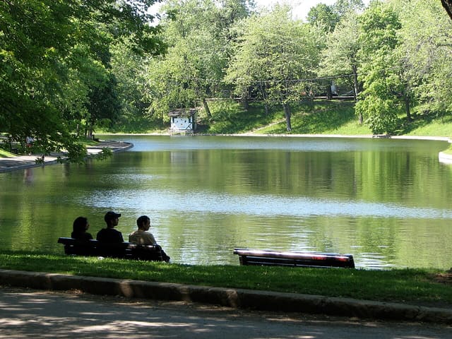 صورة من Parc La Fontaine: برك ونزهات في حي البلاتو، ٢ من ٢٣