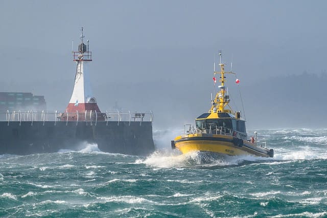 صورة من Ogden Point Breakwater: مشي إلى المنارة وفنون ساحلية، ٤ من ١٩