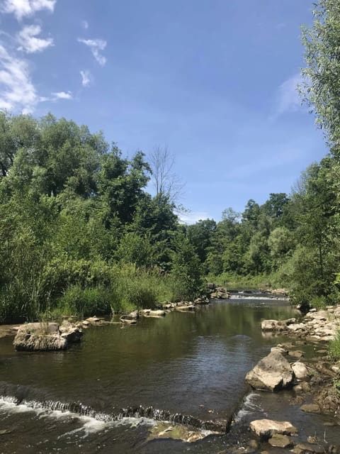 صورة من Crooks Hollow: آثار مطاحن ومسار على Spencer Creek، ٤ من ٦