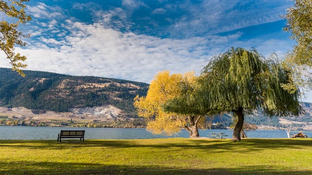 صورة من Kaloya Regional Park: شاطئ ونزهة عند Kalamalka Lake، ١ من ٣