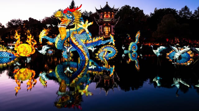 صورة من Jardins de lumière: فوانيس الحديقة النباتية ليلاً، ١ من ١٦