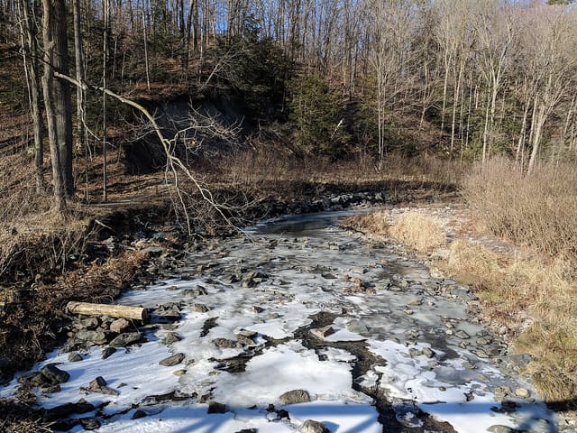 صورة من Wilket Creek Park: مسارات بين الغابات قرب Leslie، ٢ من ٣