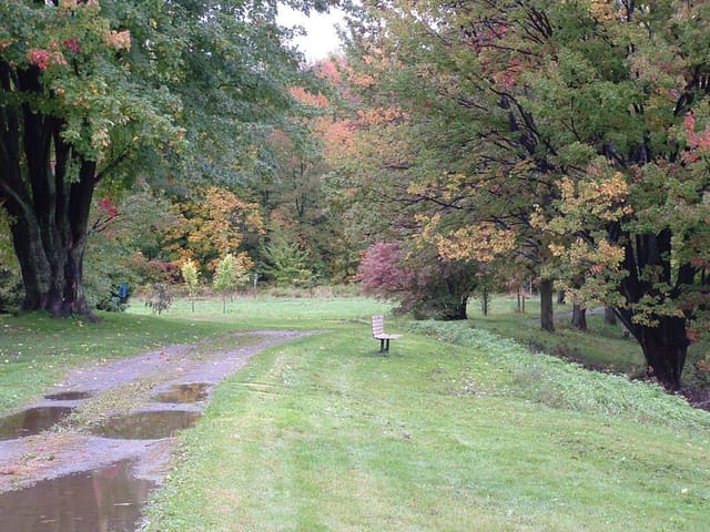 صورة من Arboretum Morgan: غابة ومسارات مشي وتزلج في Sainte-Anne-de-Bellevue، ٨ من ١٨