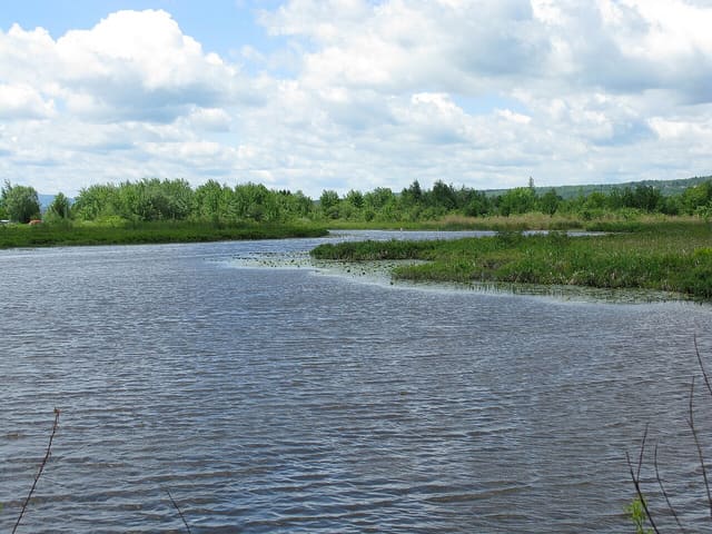 صورة من Marais de la Rivière-aux-Cerises: ممرات فوق المستنقع، ٥ من ١٩