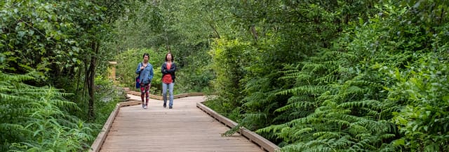 صورة من Richmond Nature Park: ممرات المستنقع وبيت الطبيعة، ١ من ١