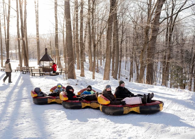 صورة من Extéria: مسارات معلّقة بين الأشجار في Drummondville، ١ من ٦