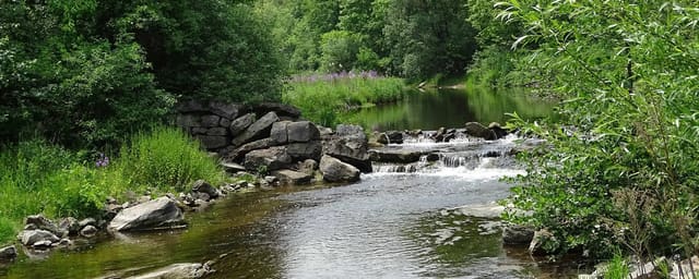 صورة من Crooks Hollow: آثار مطاحن ومسار على Spencer Creek، ١ من ٦