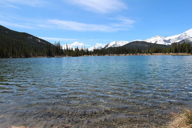 صورة من Forgetmenot Pond: بركة جبلية ونزهة قصيرة، ٧ من ١٦