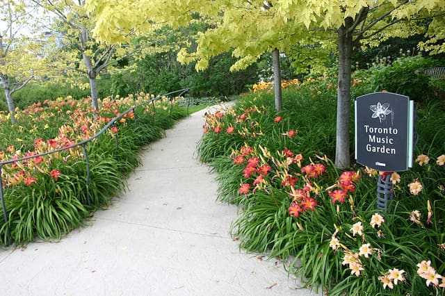صورة من Toronto Music Garden: نزهة بين حدائق مستوحاة من Bach، ١ من ٣
