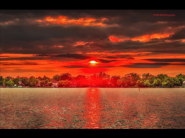 صورة من Lake Wilcox Park: ممشى وحدائق على البحيرة، ٦ من ٧