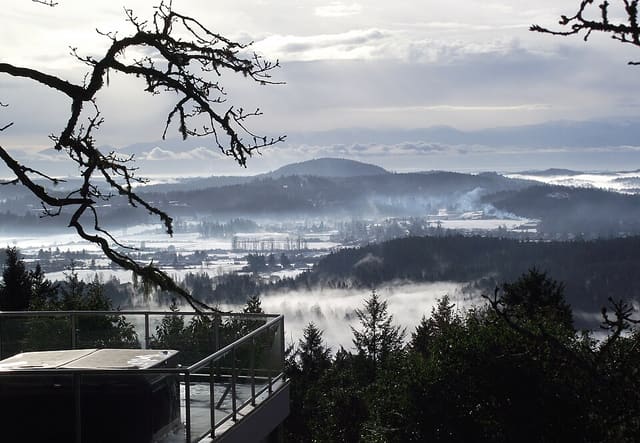صورة من John Dean: أشجار قديمة ومسارات على Mount Newton، ١ من ١٣