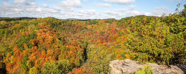 صورة من Tew Falls وDundas Peak: شلال وإطلالة على الوادي، ٢ من ١١