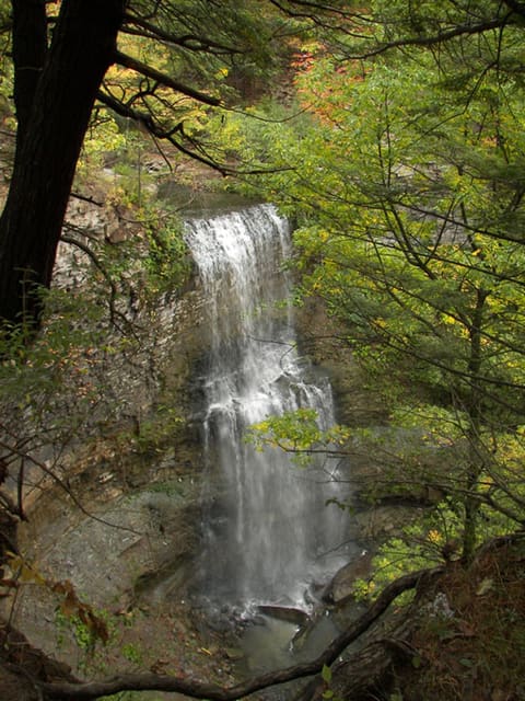 صورة من Felker’s Falls: شلال ومسار قصير بين الأشجار، ١ من ٢