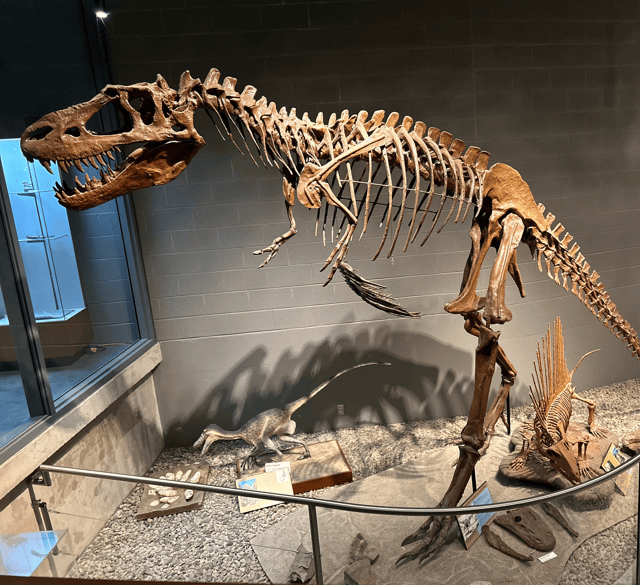 صورة من Earth Sciences Museum: ديناصورات ومعادن ونفق منجم، ١ من ٢