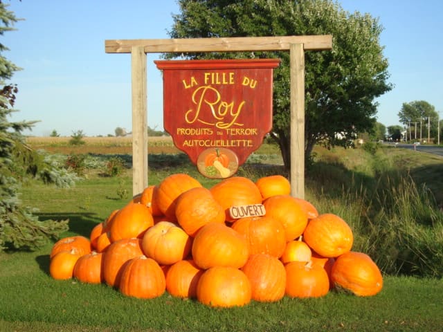 صورة من Ferme La Fille du Roy: متاهة ذرة وقطف خريفي، ٢ من ٩