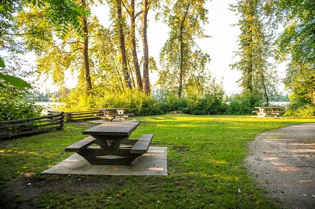 صورة من Barnston Island Regional Park: جزيرة ريفية ونزهة على النهر، ١ من ١