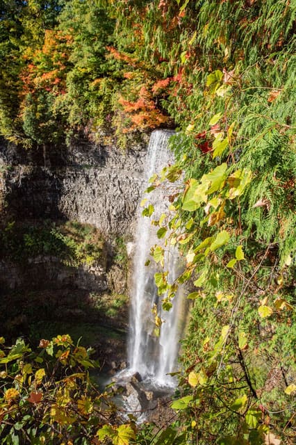 صورة من Tew Falls وDundas Peak: شلال وإطلالة على الوادي، ١ من ١١