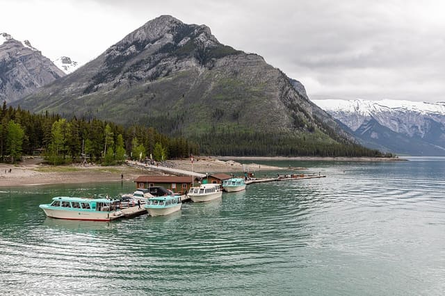 صورة من Lake Minnewanka Day Use: مشي ونزهة على بحيرة جبلية، ٨ من ١٨