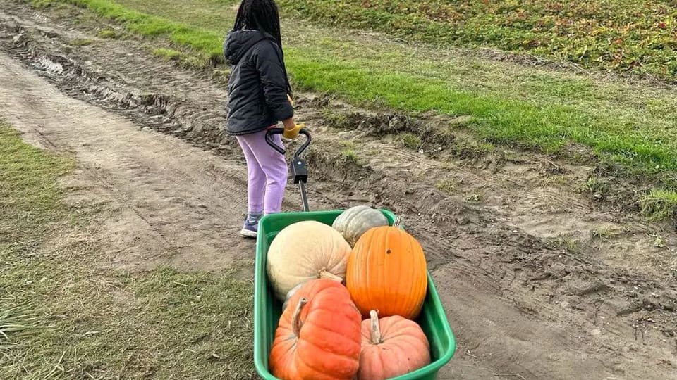 مزرعة «St Élie» في شيربروك تنظم حفلة تنكرية للأطفال بمناسبة الهالوين يوم السبت