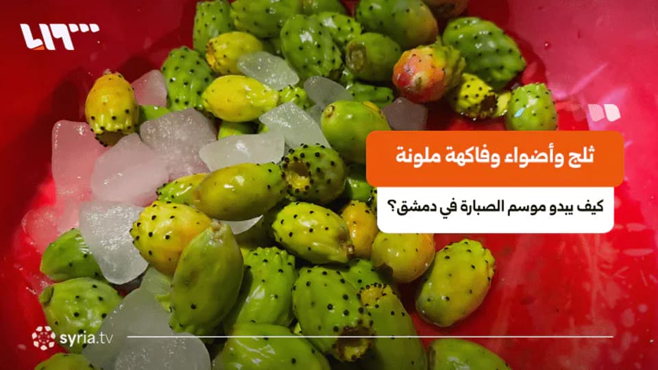 ارتفاع أسعار الصبارة يضعف الإقبال على بسطاتها في دمشق
