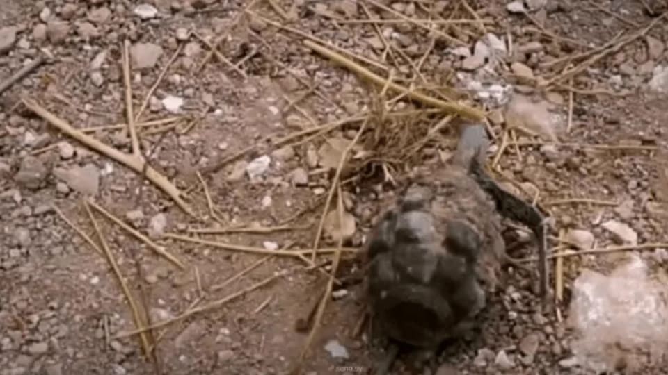 مقتل شخص بانفجار قنبلة كانت بحوزته في منبج شرقي حلب