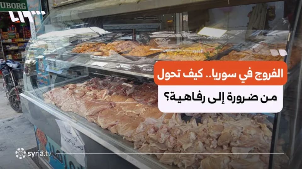 الفروج السوري في قفص الغلاء.. أزمة تبدأ من المدجنة وتنتهي في جيب المواطن